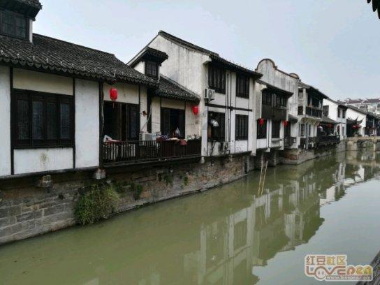 时尚红人莎莉